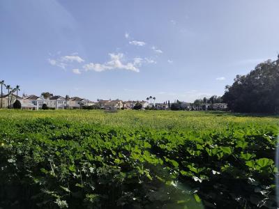 Large Residential Plot – Archangelos (APOEL)